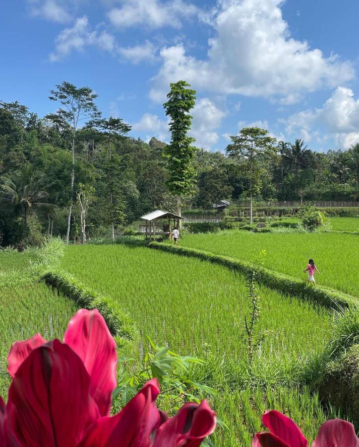 Tetebatu Mountain View Homestay Exterior foto