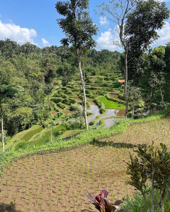 Tetebatu Mountain View Homestay Exterior foto