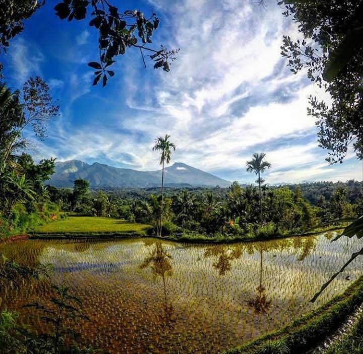 Tetebatu Mountain View Homestay Quarto foto