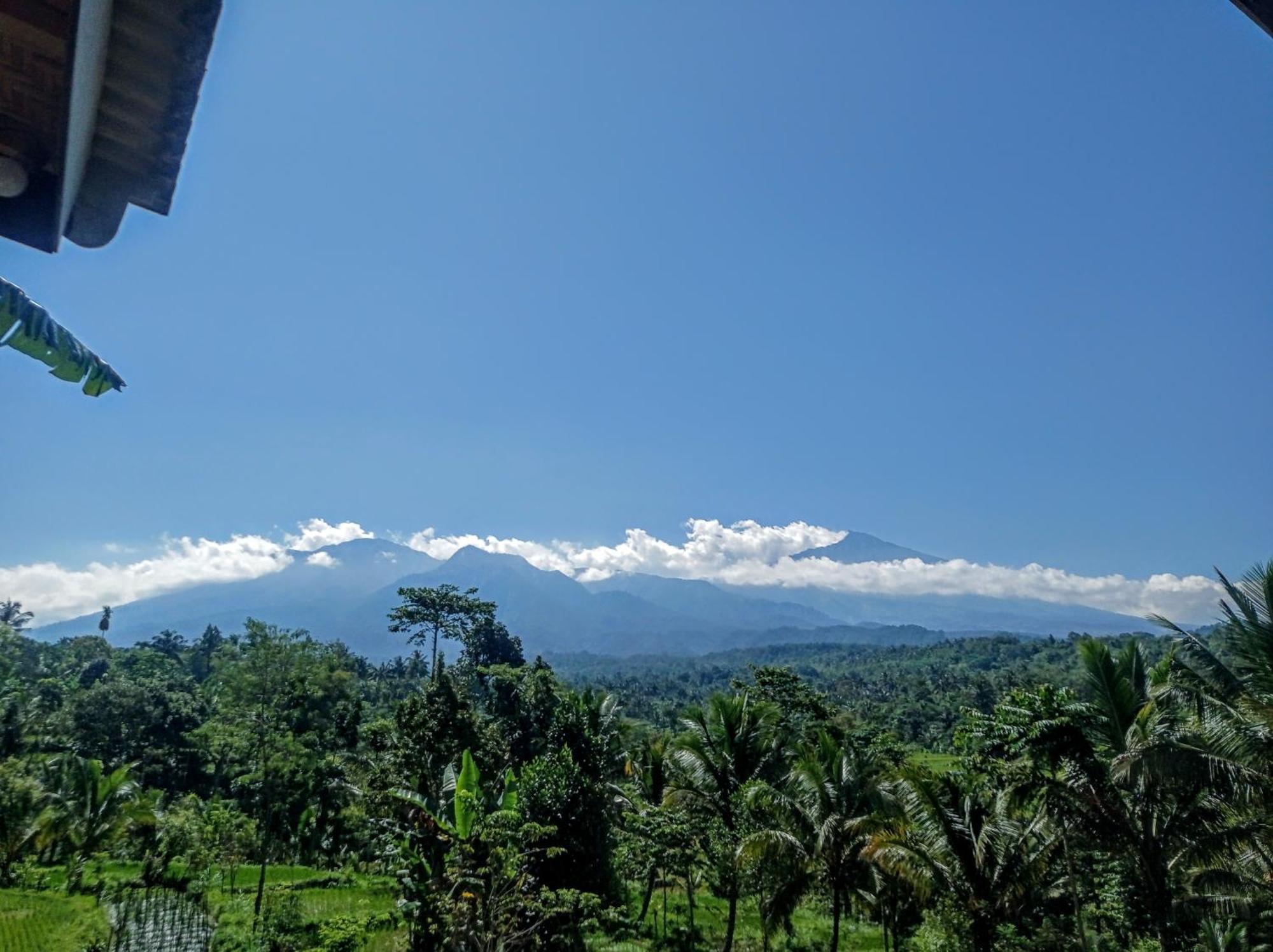 Tetebatu Mountain View Homestay Quarto foto