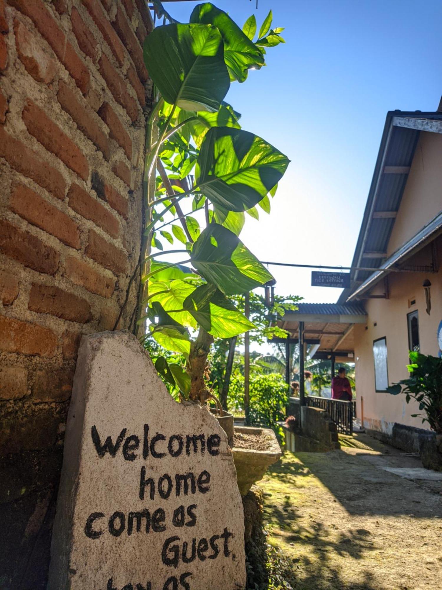Tetebatu Mountain View Homestay Quarto foto